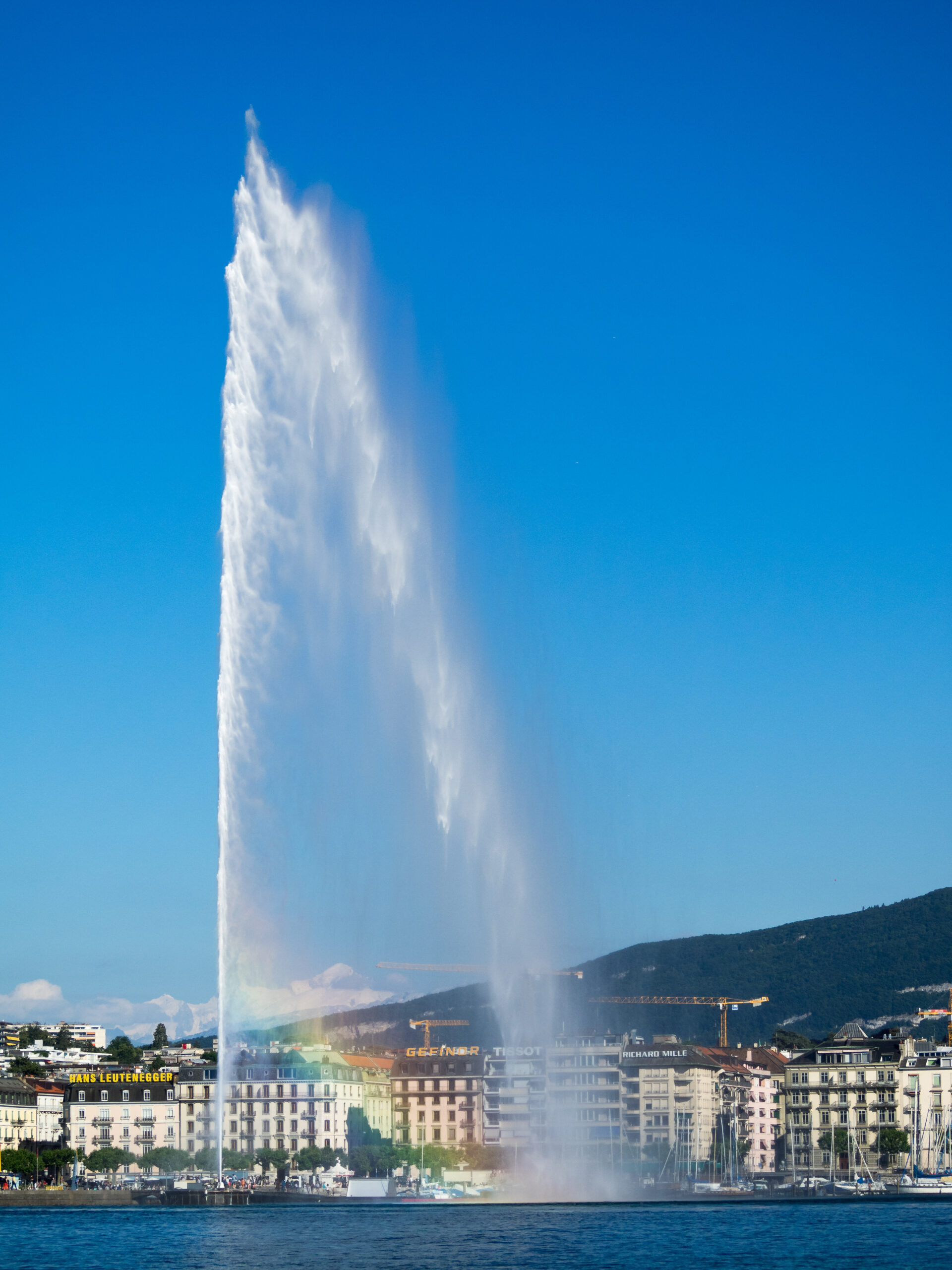 Geneva Placeholder